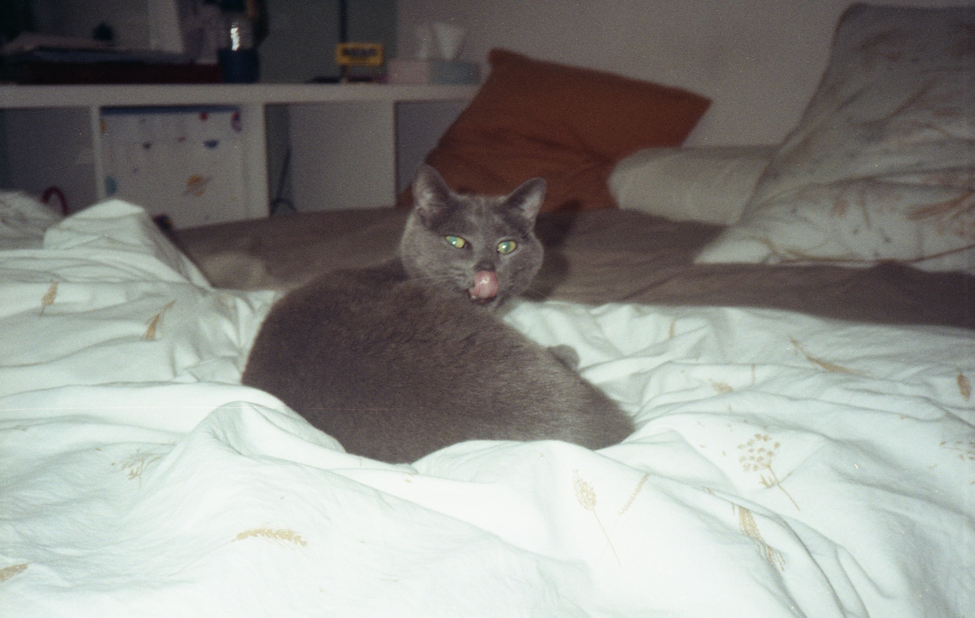 Photo de la section Une histoire de passion